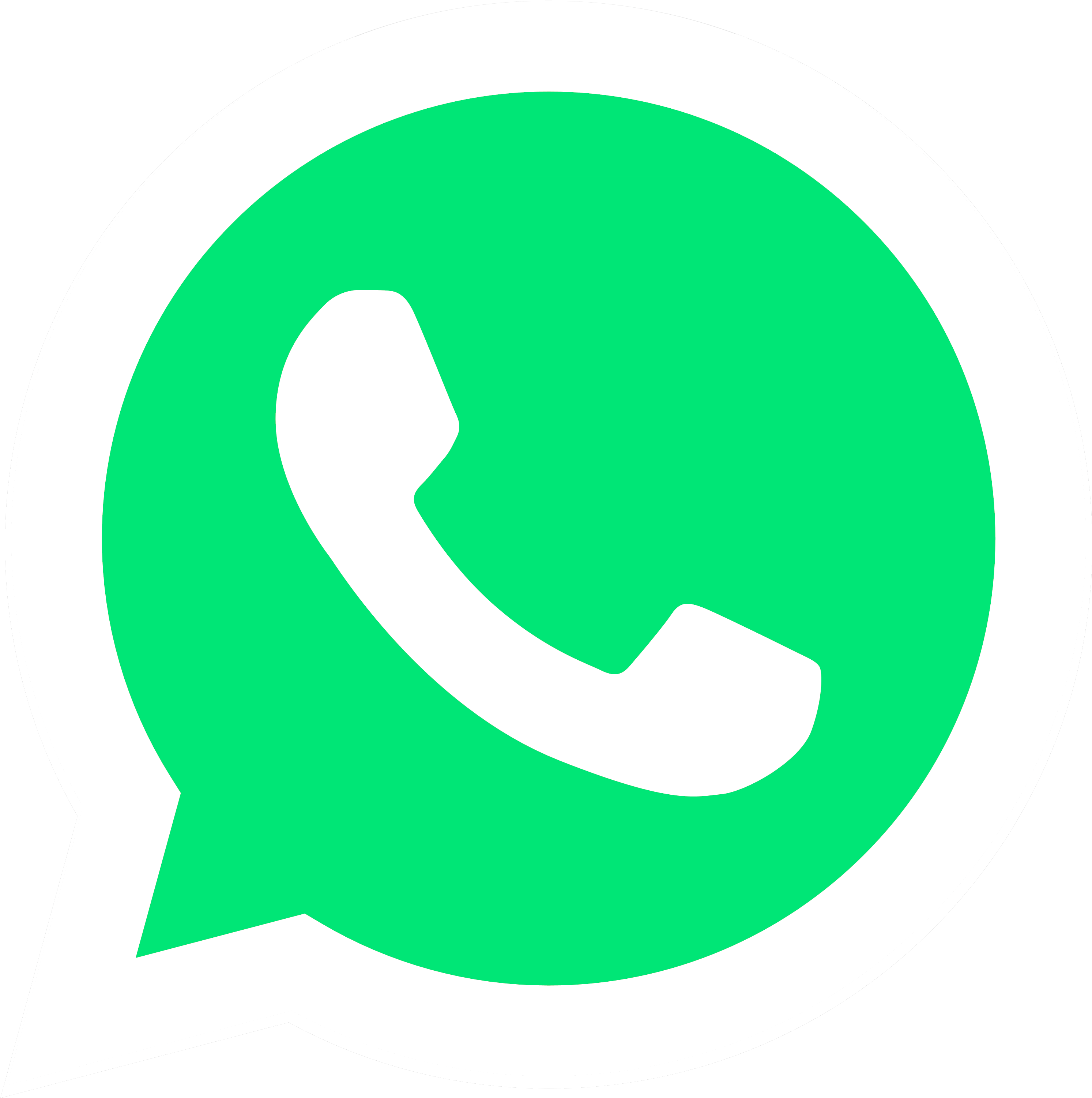 action to call whatsapp